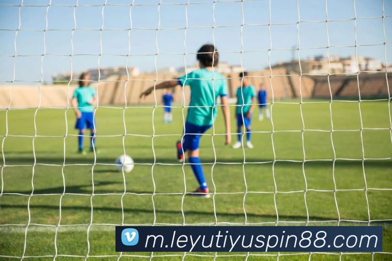 乐鱼体育平台生态图