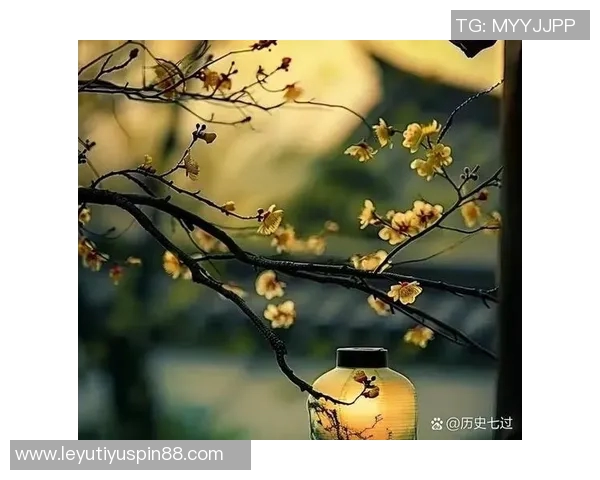 余温犹存狄龙分享生活点滴展现每个平凡人的闪光瞬间